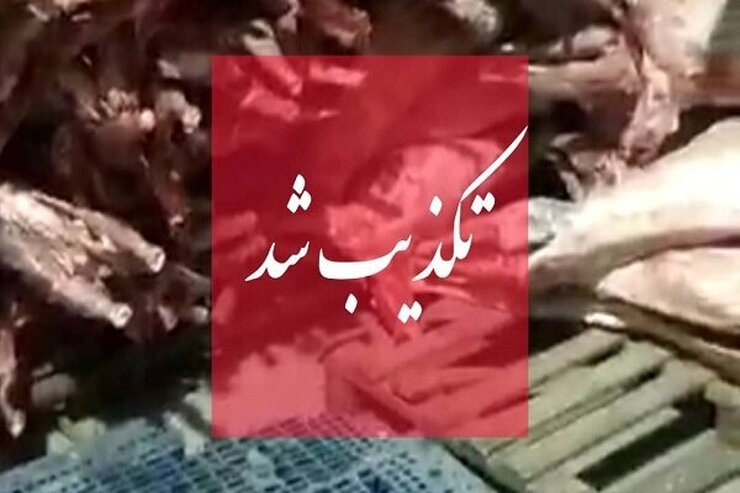 سازمان دامپزشکی کشور، با صدور اطلاعیه‌ای در پی انتشار فیلمی از کشتار حرام و غیربهداشتی در فضای مجازی اطلاعیه‌ای صادر کرد.
