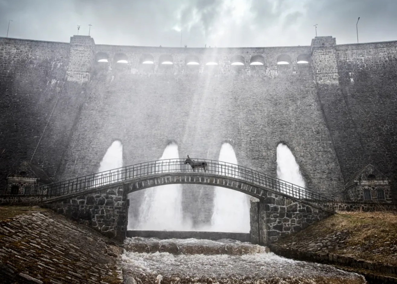 معرفی فیلمهای جشنواره کن ۲۰۲۲ + تریلر فیلمها معرفی فیلمهای جشنواره کن ۲۰۲۲ + تریلر فیلمها