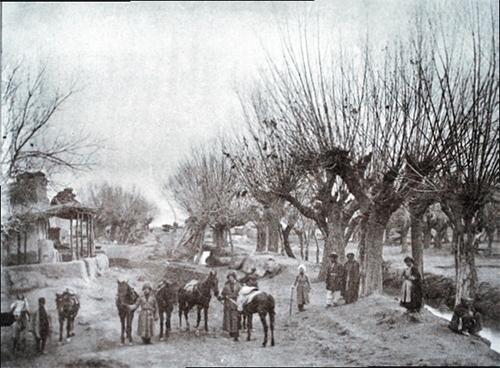 نذر شیرین شهر