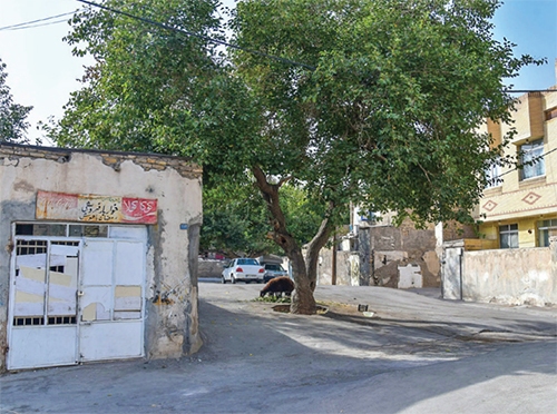 ۹۱ ساله‌های دشت سرده