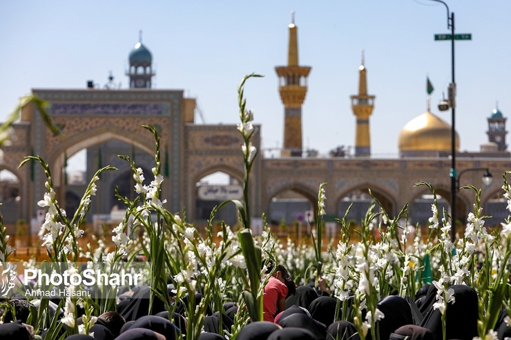 معاون فرهنگی و اجتماعی شهردار مشهد: در دهه کرامت، جشن‌ها و برنامه‌های میدانی و گسترده‌تری برگزار خواهیم کرد