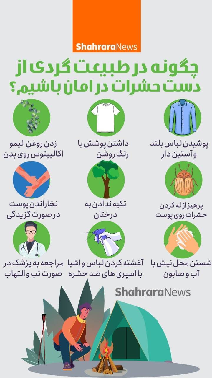 اینفوگرافی | چگونه در طبیعت&zwnj;گردی از دست حشرات درامان باشیم؟