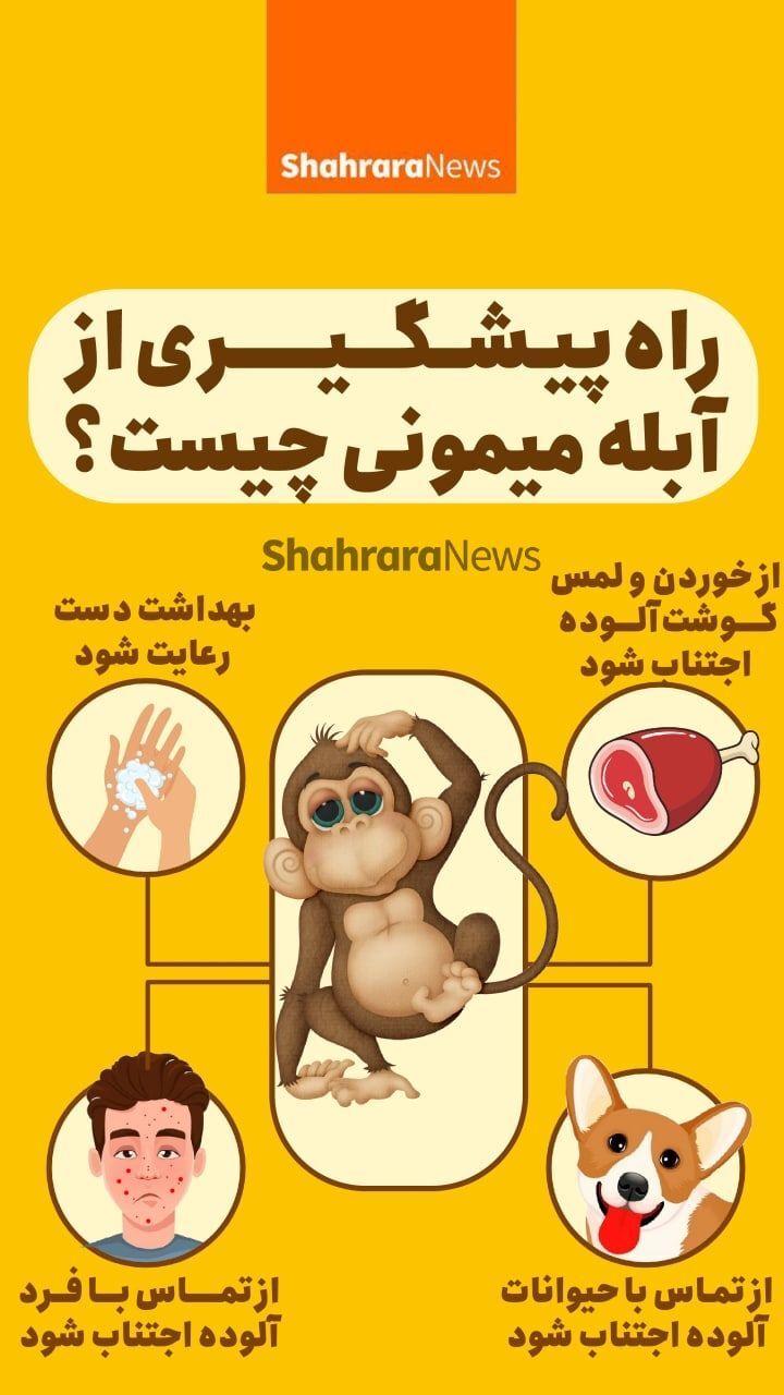 اینفوگرافی| راه&zwnj; پیگیری از آبله میمون
