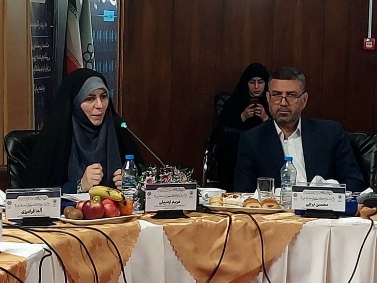 رییس کمیته بانوان کلان‌شهر‌های ایران گفت: شهر‌های دوستدار خانواده و در سطح بالاتر شهر خانواده‌محور شهری است که تمامی اقدامات آنان پیوست خانواده داشته باشد، ما باید خانواده محوری را از شهرداری آغاز کنیم.