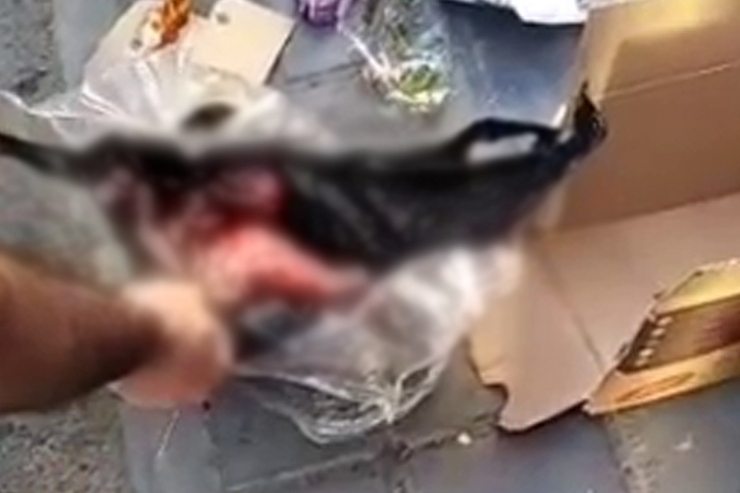 درپی انتشار ویدیویی در فضای مجازی از پیدا شدن یک نوزاد تازه متولد شده در سطل زباله، رییس مرکز اورژانس تهران توضیحاتی را در این خصوص ارائه کرد.