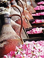 کارآفرینی خواهرانه