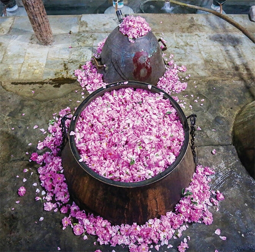 کارآفرینی خواهرانه کارآفرینی خواهرانه