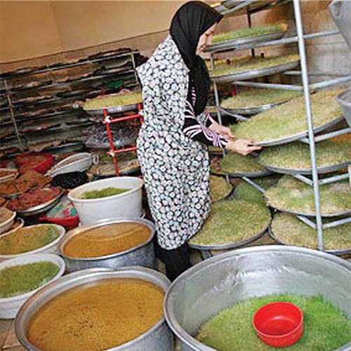 هر خانه یک کارخانه