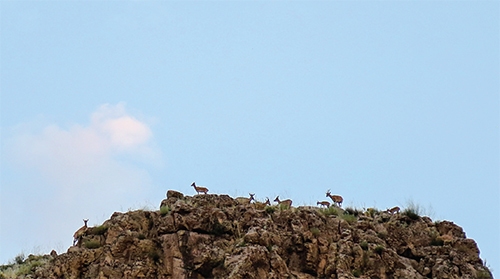 تندوره، تنوره طبیعت تندوره، تنوره طبیعت