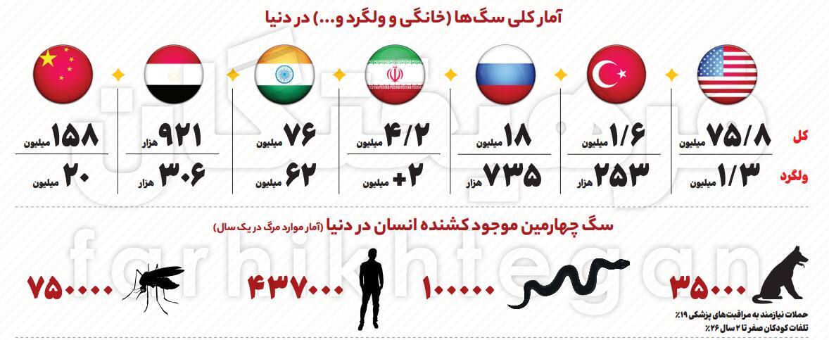 تعداد سگ‌های ولگرد در ایران ۸ برابر ترکیه + اینفوگرافیک
