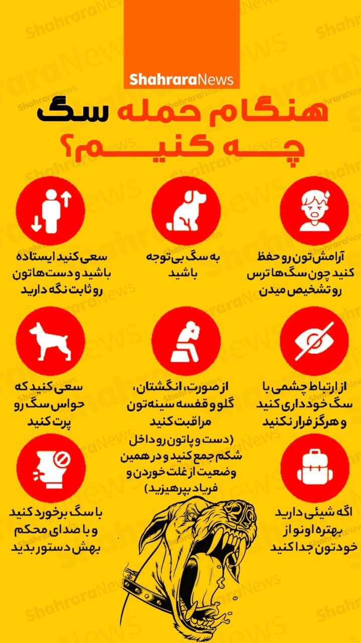 اینفوگرافی | هنگام حمله سگ چه کنیم؟