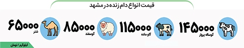 دام کهنه برای فروش دام دام کهنه برای فروش دام