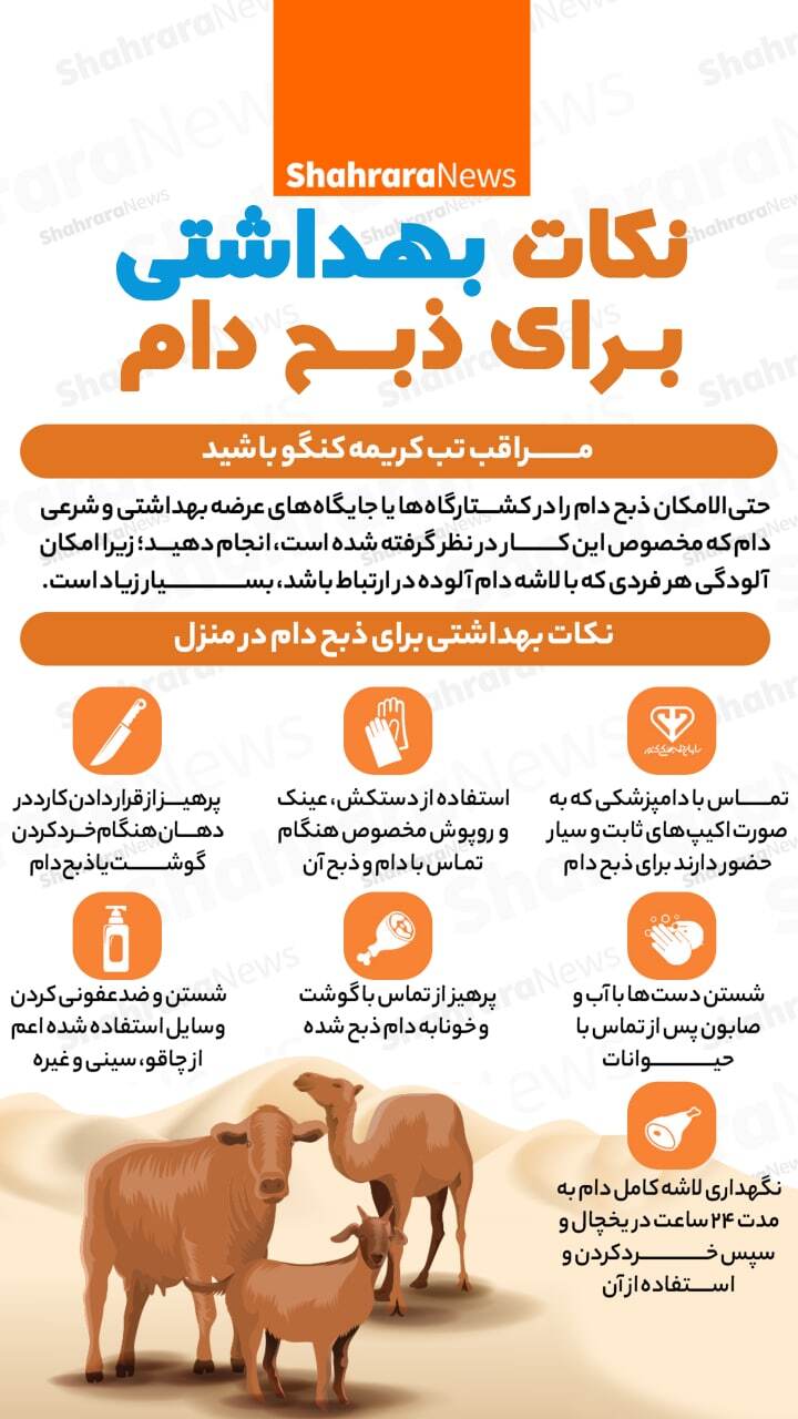 اینفوگرافی | نکات بهداشتی برای ذبح دام
