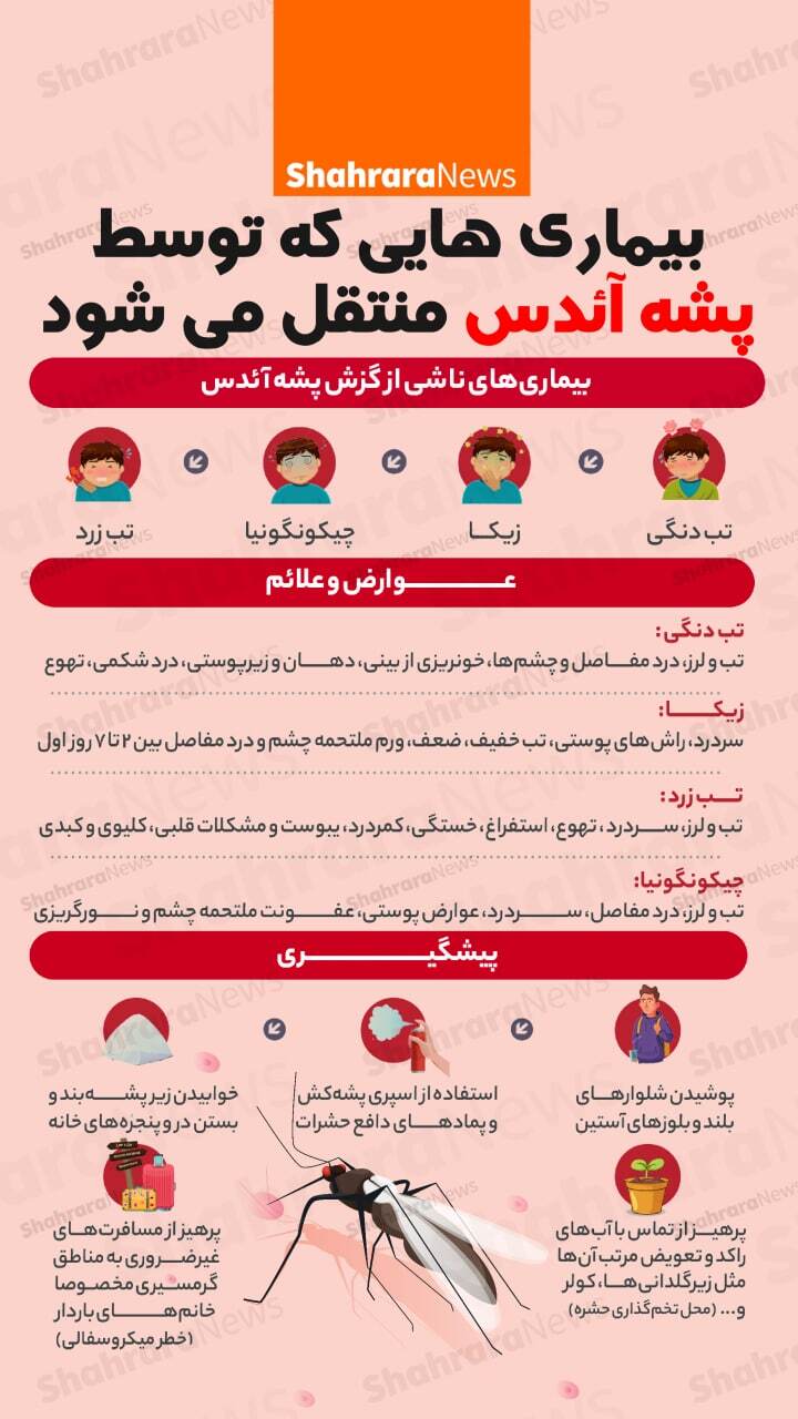 اینفوگرافی | بیماری هایی که توسط پشه آندس منتقل می شود