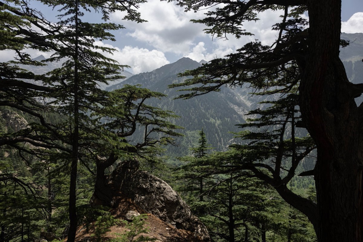 زیبایی‌های ولایت نورستان