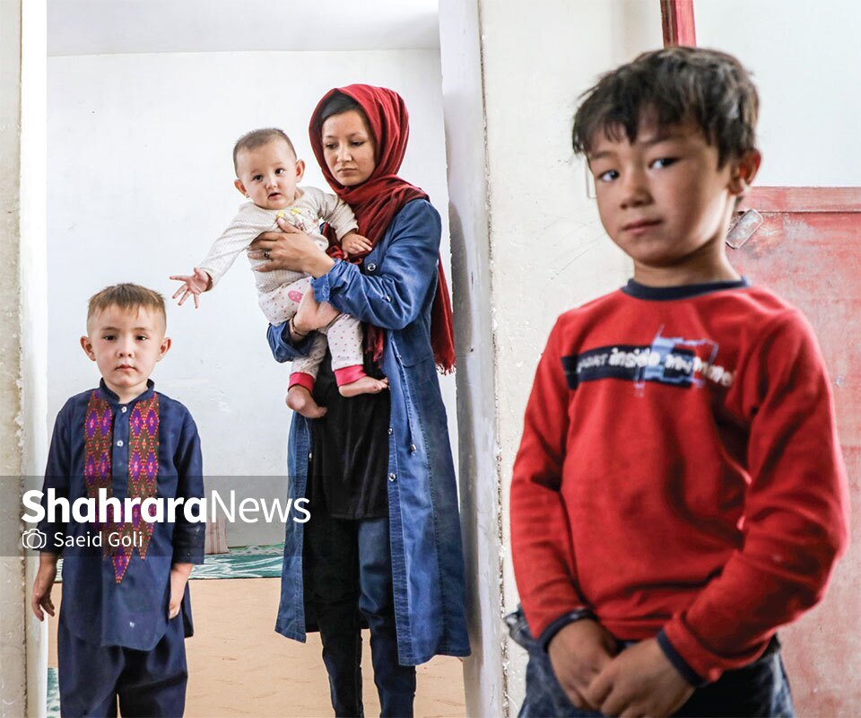 شهر مهمانهای ما شهر مهمانهای ما