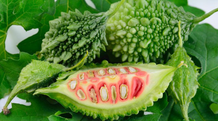 دیابت را با این گیاهان درمان کنید دیابت را با این گیاهان درمان کنید