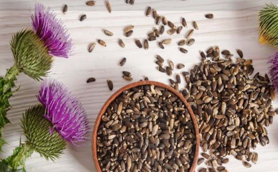 دیابت را با این گیاهان درمان کنید دیابت را با این گیاهان درمان کنید