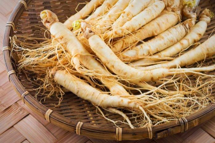 دیابت را با این گیاهان درمان کنید دیابت را با این گیاهان درمان کنید