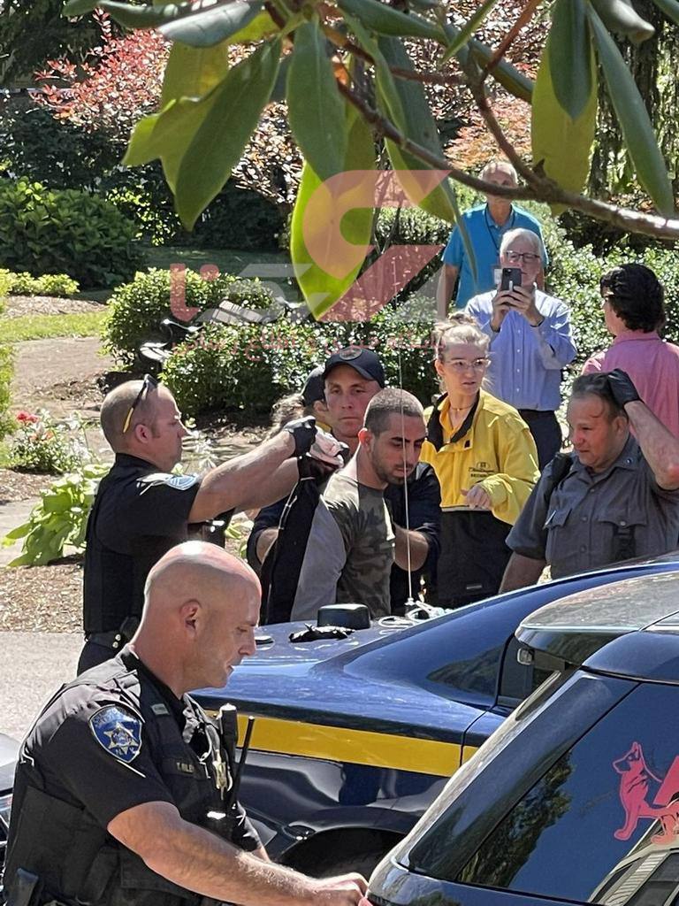 سلمان رشدی در نیویورک چاقو خورد + فیلم و تصاویر سلمان رشدی در نیویورک چاقو خورد + فیلم و تصاویر