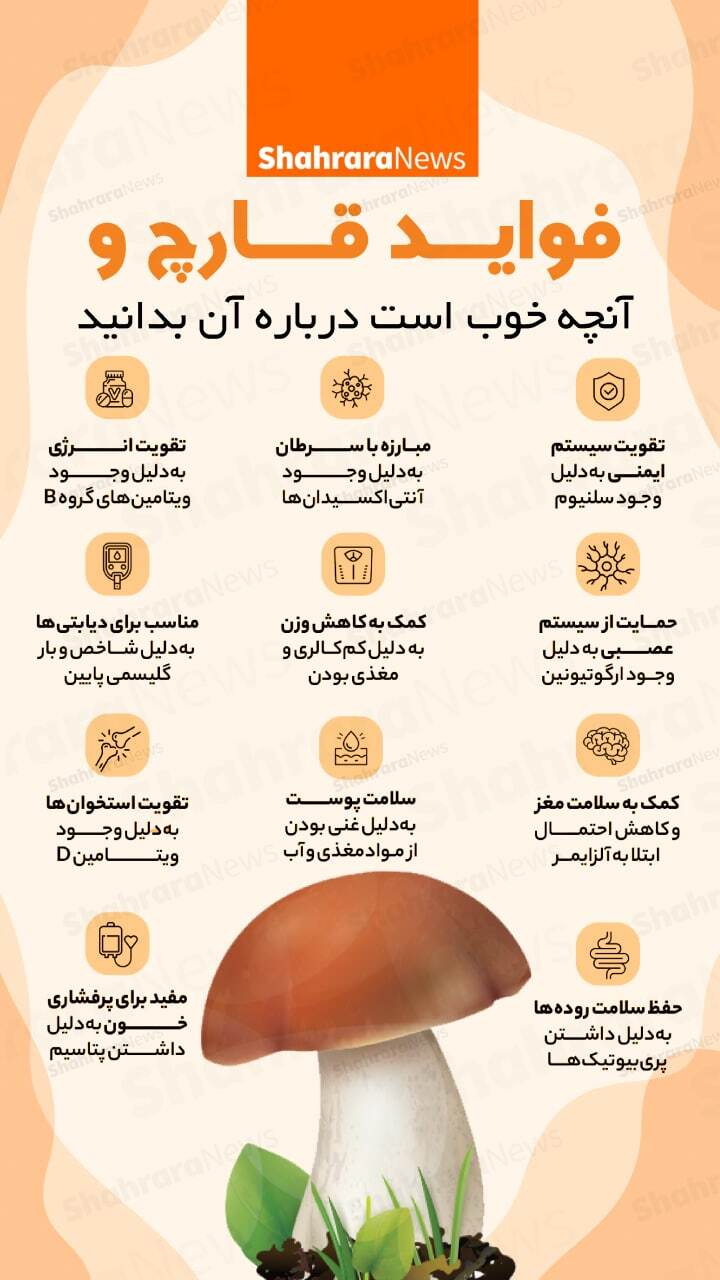 اینفوگرافی | قارچ چه فواید شگف انگیزی دارد؟