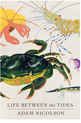 خوشاقبالترین کتابهای ۲۰۲۲ به انتخاب مجله «تایم» خوشاقبالترین کتابهای ۲۰۲۲ به انتخاب مجله «تایم»