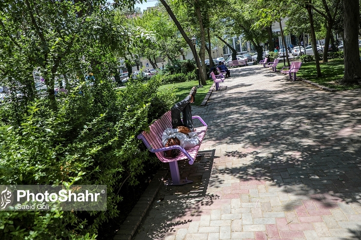 کارشناس مرکز پیش بینی هواشناسی خراسان رضوی گفت: اواخر هفته در ارتفاعات مشهد بارش باران را خواهیم داشت و احتمالا جمعه وشنبه در مشهد شاهد بارش باران باشیم.