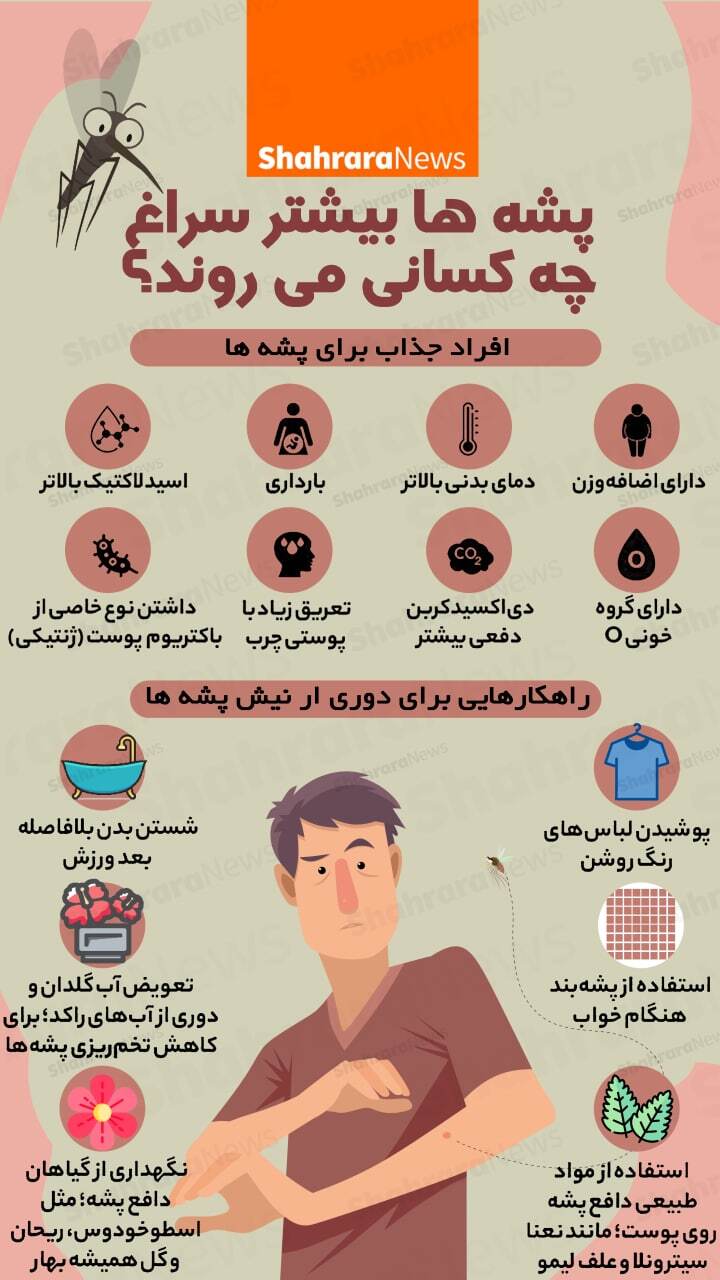 اینفوگرافی | پشه&zwnj;ها بیشتر سراغ چه کسانی می&zwnj;روند؟
