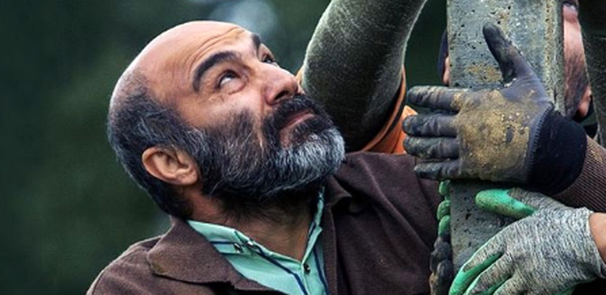 فیلمهایی که شانس بیشتری برای معرفی به اسکار ۲۰۲۳ دارند فیلمهایی که شانس بیشتری برای معرفی به اسکار ۲۰۲۳ دارند