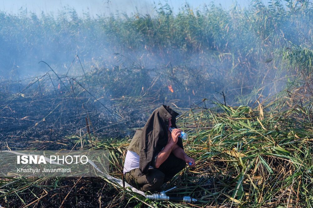 آتش سوزی تالاب انزلی اطفا شد + تصاویر