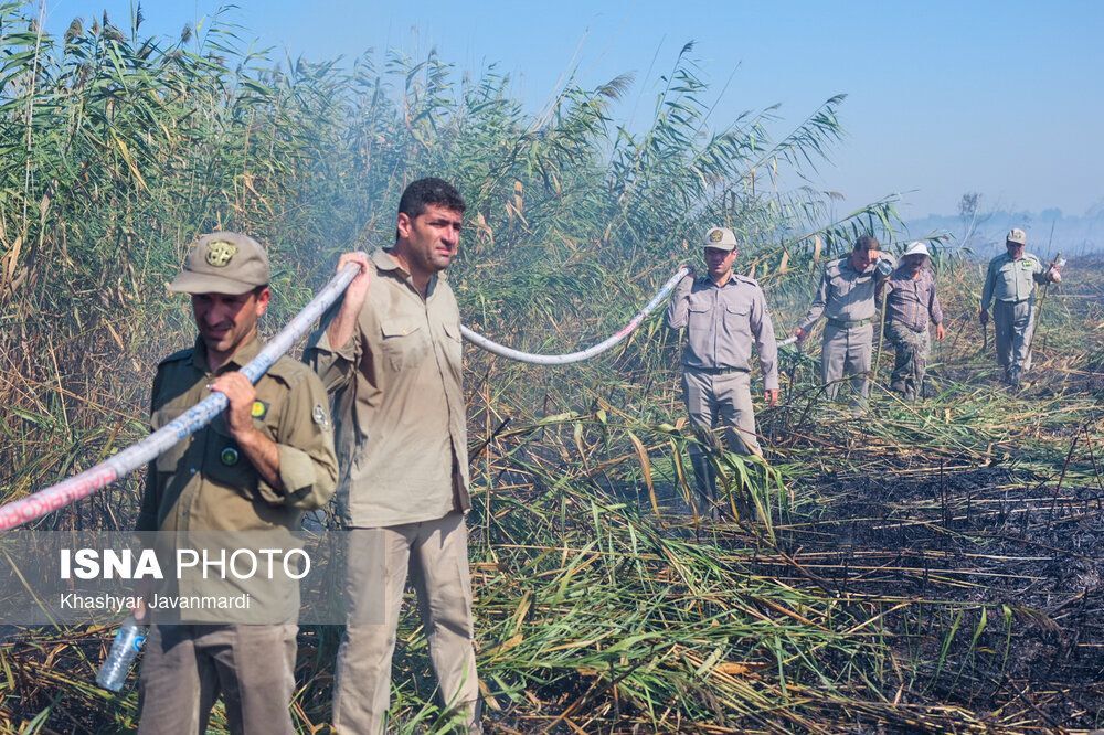 آتش سوزی تالاب انزلی اطفا شد + تصاویر