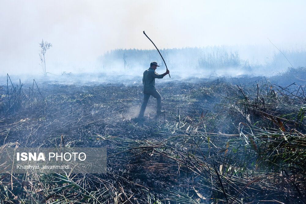 آتش سوزی تالاب انزلی اطفا شد + تصاویر