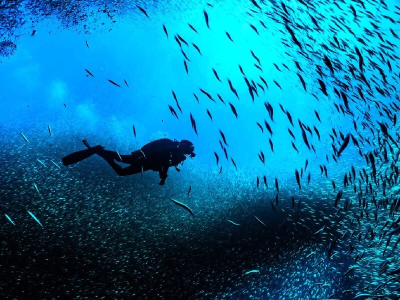 جذابترین تفریحات دریایی کیش جذابترین تفریحات دریایی کیش