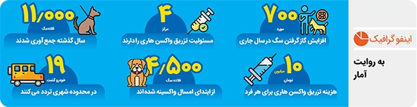 پیشروی سگهای ولگرد زیر سایه ترحم پیشروی سگهای ولگرد زیر سایه ترحم