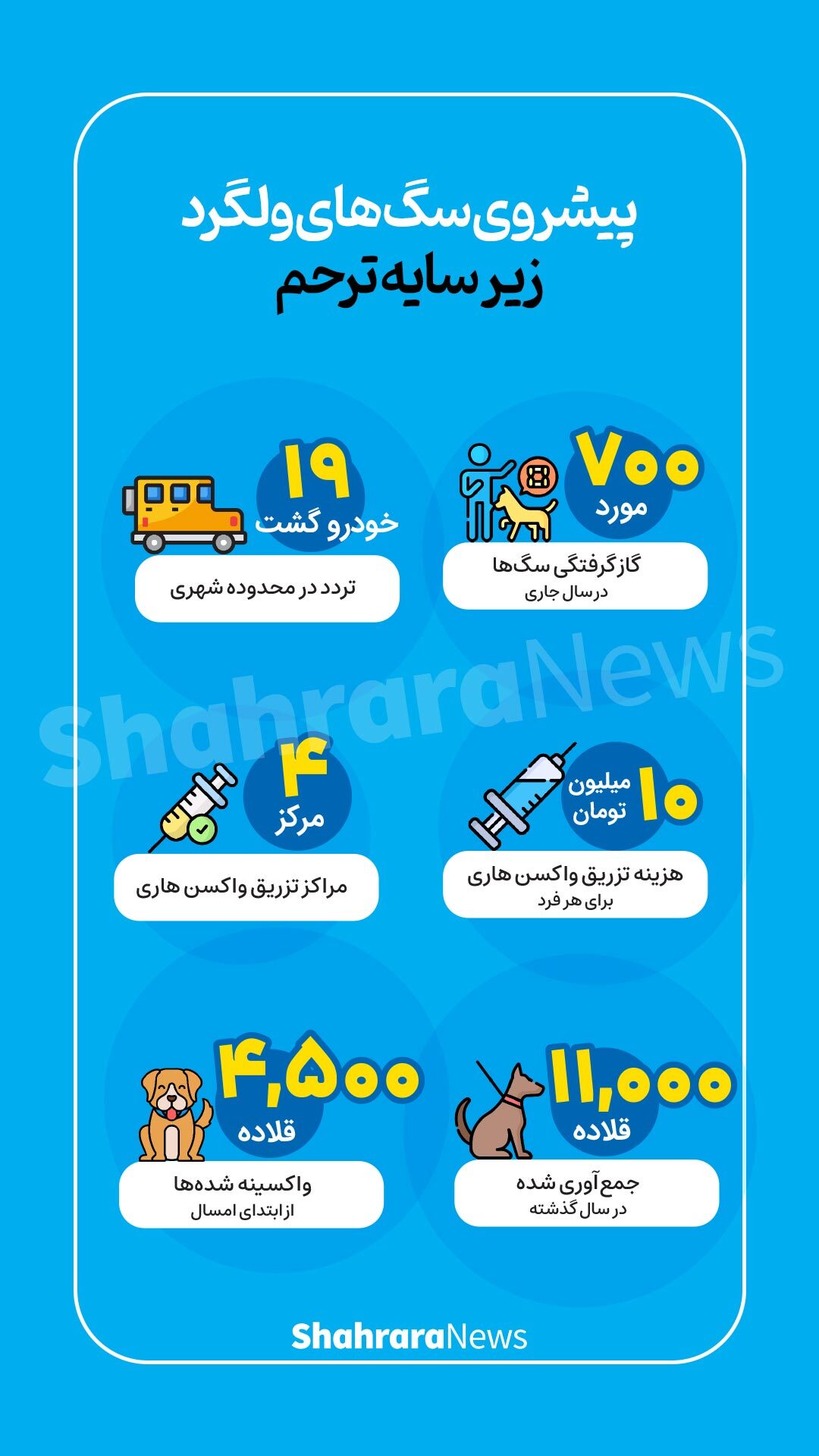 اینفوگرافی| پیشروی سگ&zwnj;های ولگرد زیر سایه ترحم
