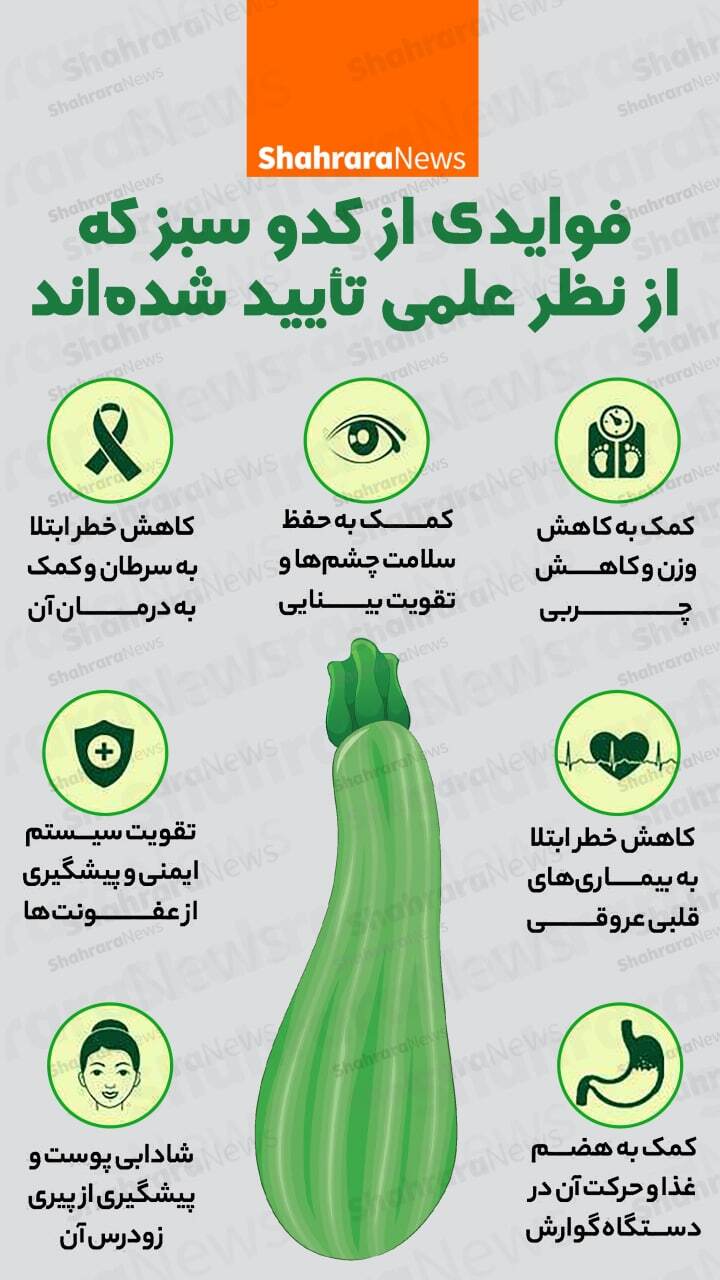 اینفوگرافی| فوایدی از کدو سبز که از نظر علمی تایید شده&zwnj;اند