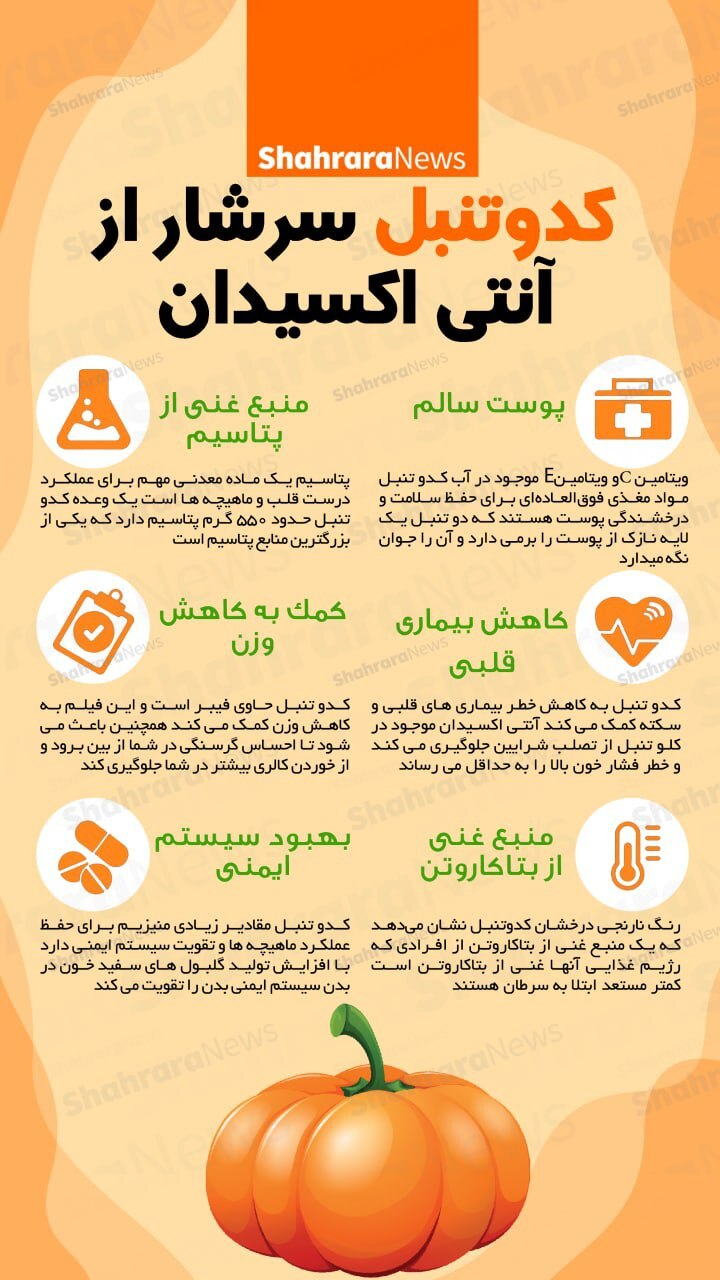 اینفوگرافی | کدوتنبل، سرشار از آنتی اکسیدان