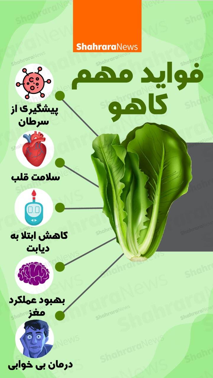 اینفوگرافی| فواید مهم کاهو