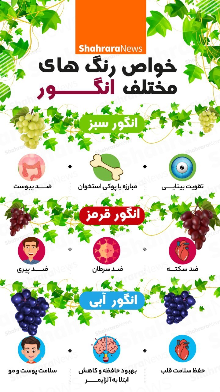 اینفوگرافی| خواص رنگ&zwnj;های محتلف انگور