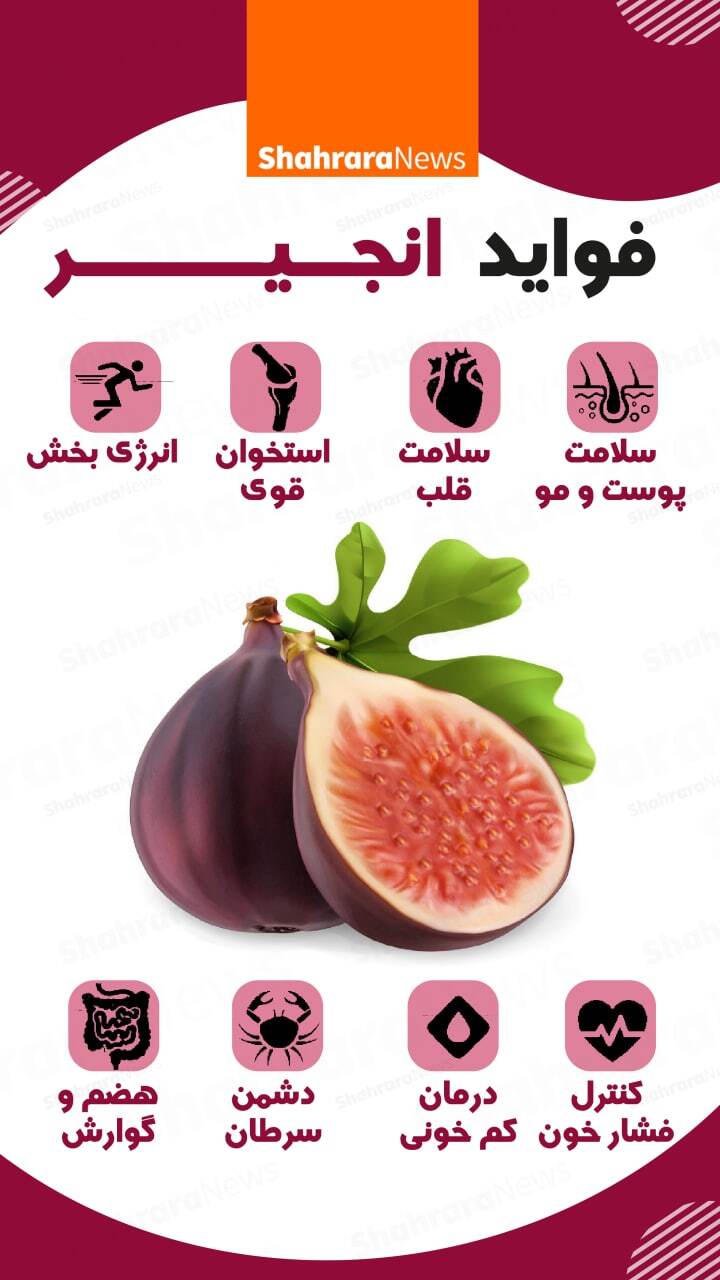 اینفوگرافی| فواید انجیر