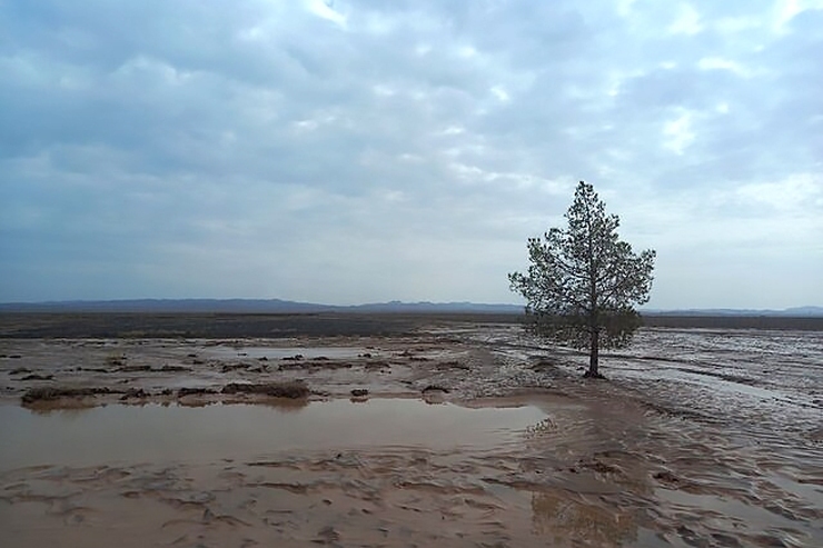 سیل در نیجریه جان ۵۰۰ نفر را گرفت