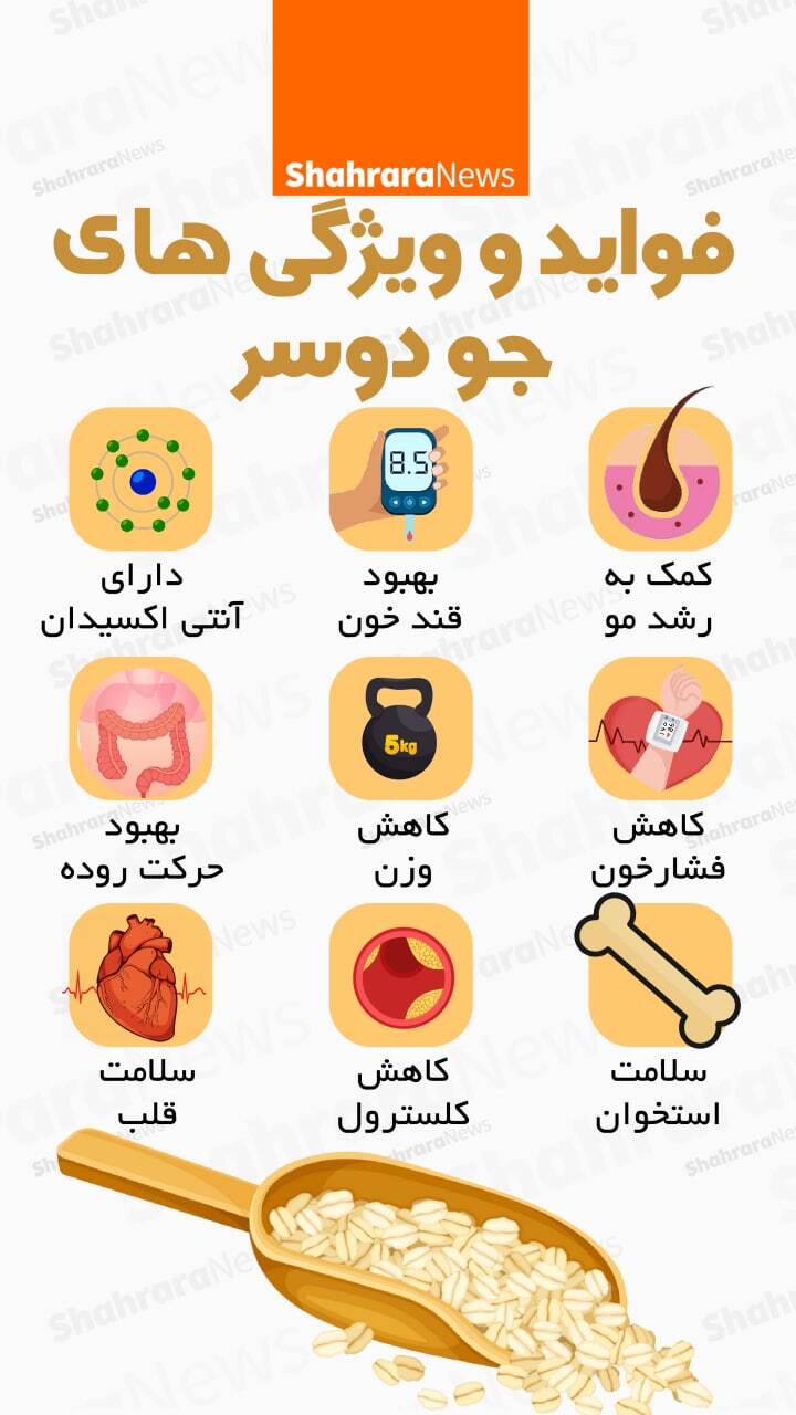 اینفوگرافی | فواید و ویژگی‌های جو دوسر