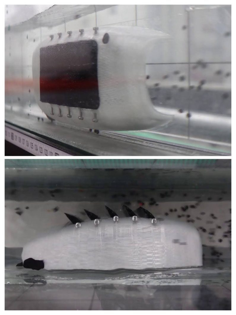 یک ماهی رباتیک میکروپلاستیکهای دریاچههای محلی بریتانیا را جمعآوری میکند یک ماهی رباتیک میکروپلاستیکهای دریاچههای محلی بریتانیا را جمعآوری میکند