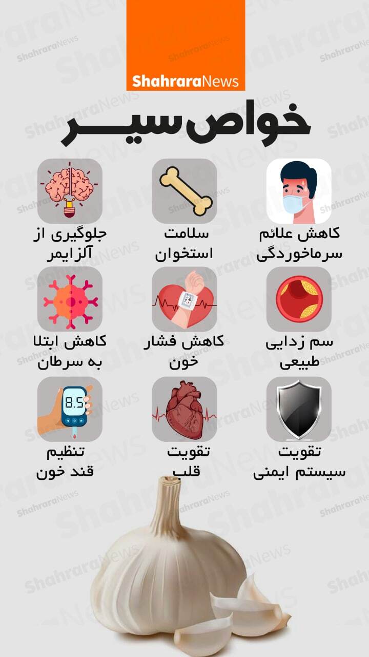 اینفوگرافی| خواص سیر