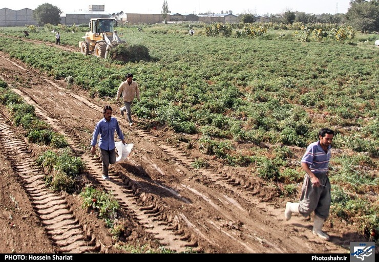 کشف ماجرای کشف‌رود مشهد تا آخر هفته