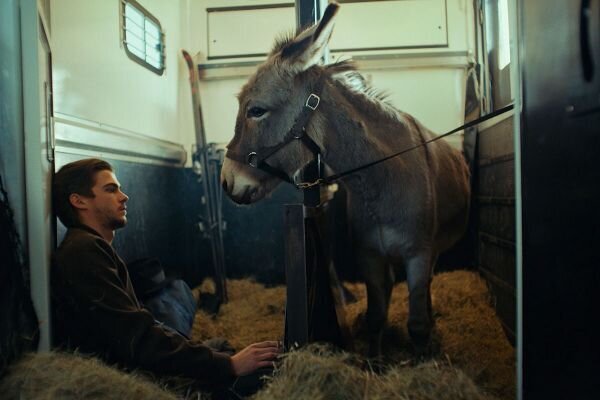 رقبای مهم «جنگ جهانی سوم» در اسکار ۲۰۲۳ رقبای مهم «جنگ جهانی سوم» در اسکار ۲۰۲۳
