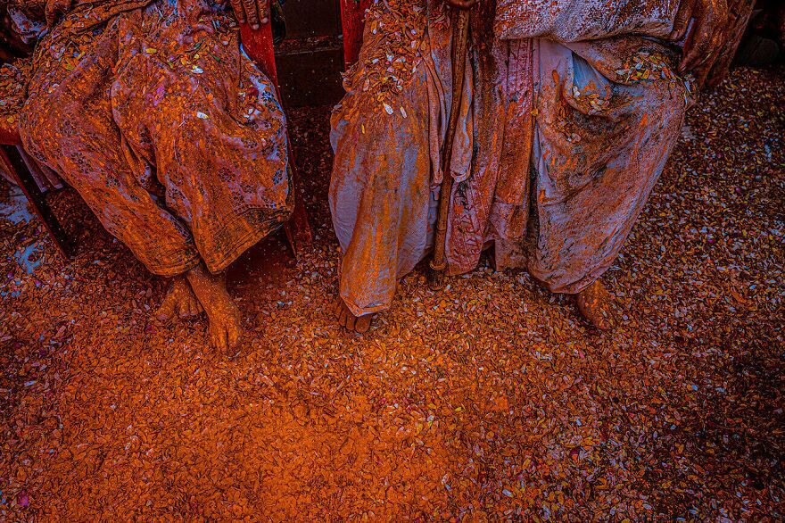 بهترین عکسهای رقابت «عکاسی رنگها» بهترین عکسهای رقابت «عکاسی رنگها»