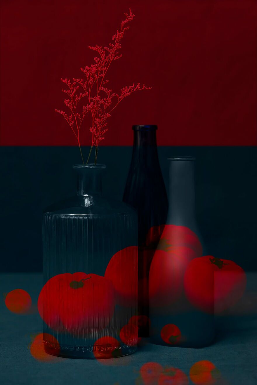 بهترین عکسهای رقابت «عکاسی رنگها» بهترین عکسهای رقابت «عکاسی رنگها»