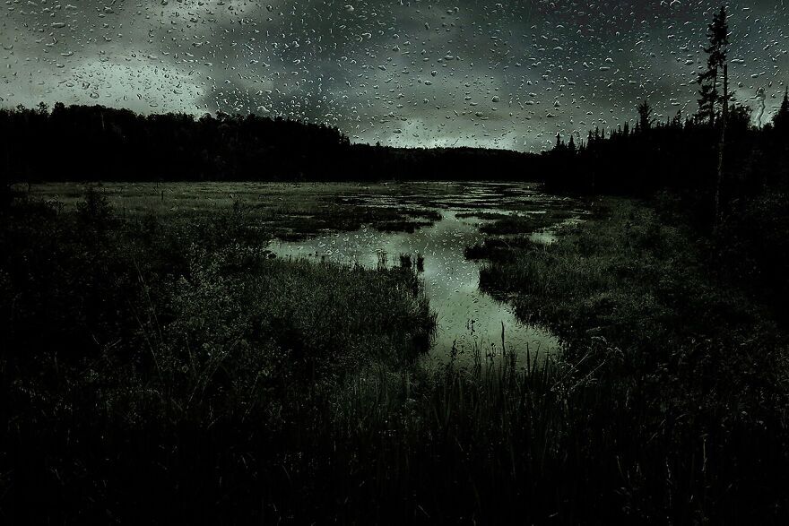 بهترین عکسهای رقابت «عکاسی رنگها» بهترین عکسهای رقابت «عکاسی رنگها»