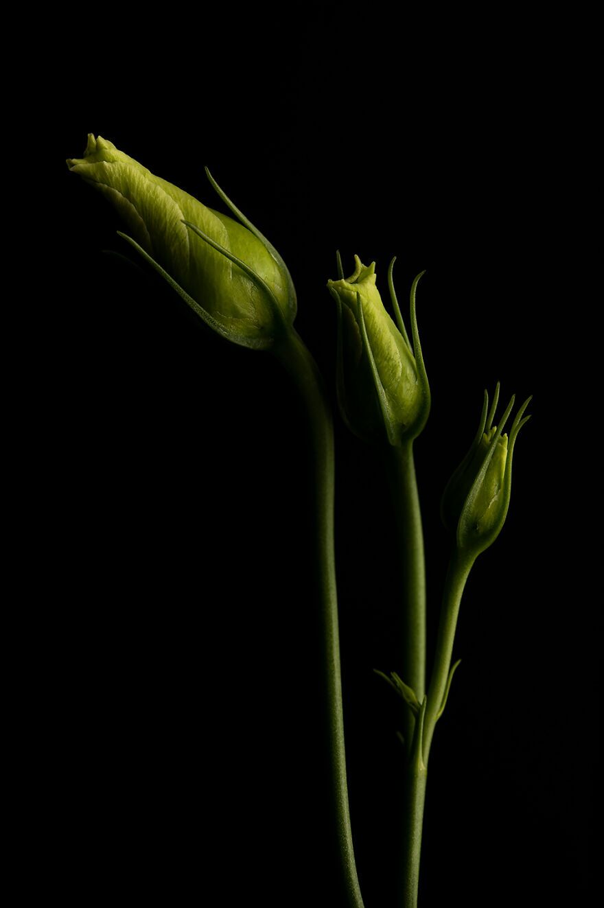 بهترین عکسهای رقابت «عکاسی رنگها» بهترین عکسهای رقابت «عکاسی رنگها»